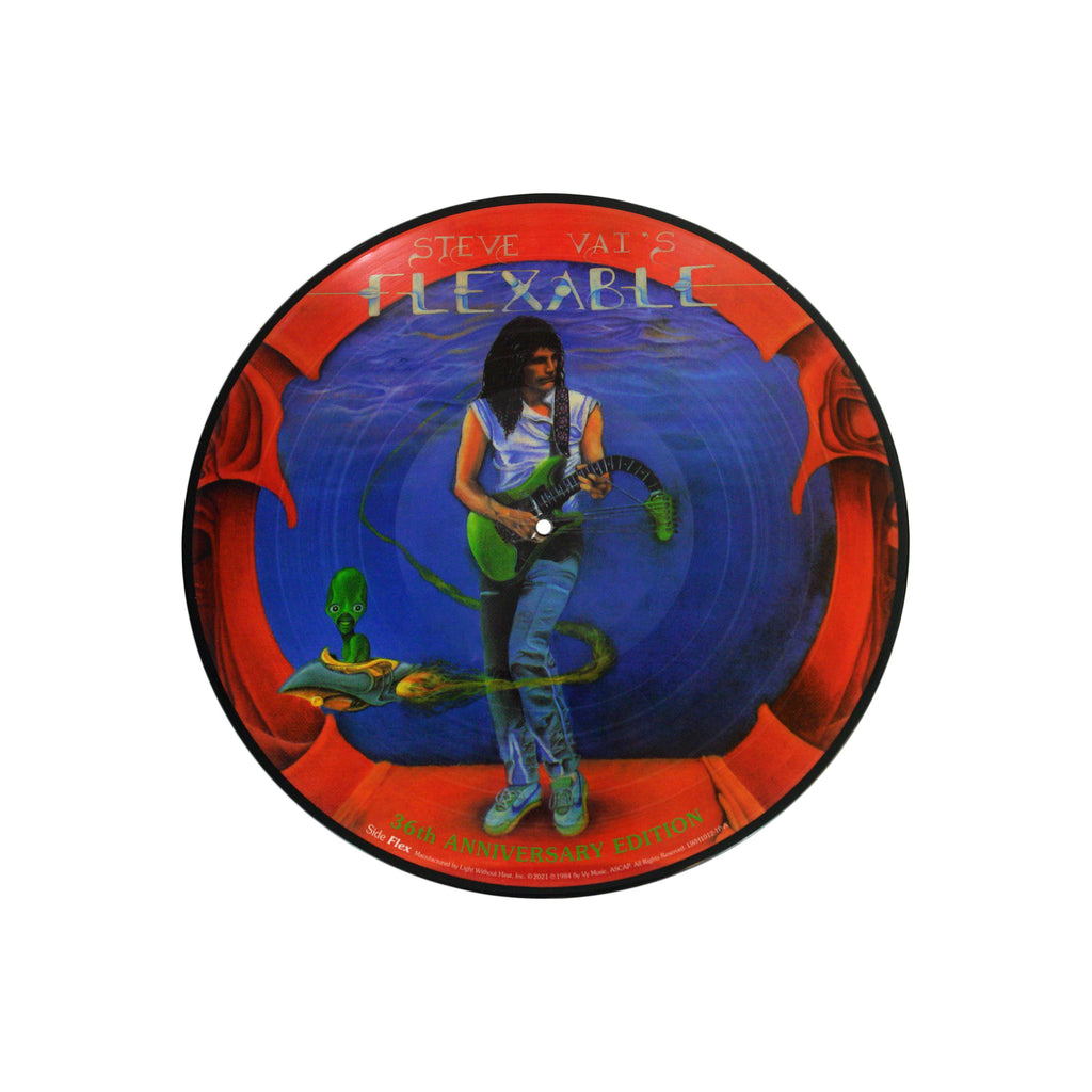 メ⑮-⑮ STEVE VAI - Flex-Able レコード LP UK盤 Steve Vai – Flex-Able – CD (Album, Reissue), 1988 [r623482